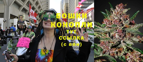 каннабис Аркадак