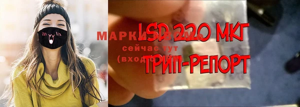 каннабис Аркадак