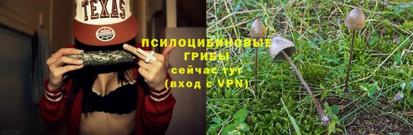 бошки Арсеньев
