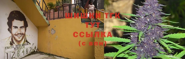 стафф Армянск