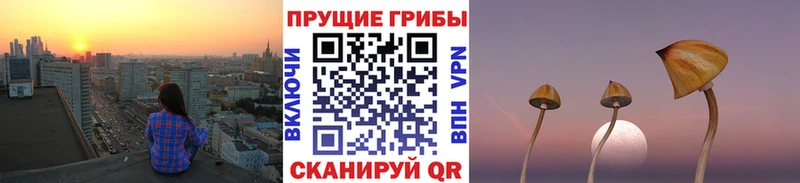 мега рабочий сайт  Среднеуральск  Галлюциногенные грибы Psilocybe 